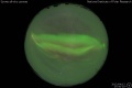 2012/4/12 17:50’10”