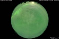 2012/4/12 19:00’10”