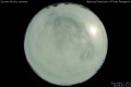 2012/4/12 22:55’10”