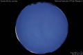 2012/4/21 15:30’10”