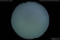 2012/4/22 03:01’40”