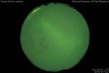 2012/4/25 20:00’10”