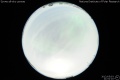 2012/5/3 21:51’10”
