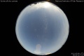 2012/5/8 15:50’10”