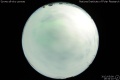 2012/5/9 19:34’10”