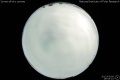 2012/5/9 19:53’10”