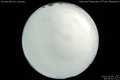2012/5/9 19:55’10”