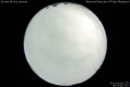 2012/5/9 19:55’40”