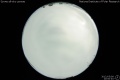 2012/5/9 20:00’40”