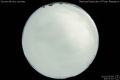 2012/5/9 20:01’10”