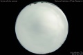 2012/5/9 20:01’40”