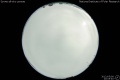 2012/5/9 20:05’40”