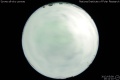 2012/5/9 20:11’10”