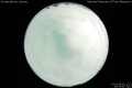 2012/5/9 20:33’40”