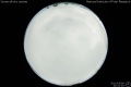 2012/5/9 21:01’10”