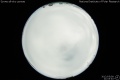 2012/5/9 21:03’40”