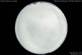 2012/5/9 21:04’10”