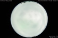 2012/5/9 21:06’10”
