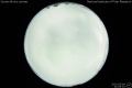 2012/5/9 21:08’10”