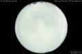 2012/5/9 21:08’40”