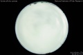 2012/5/9 21:09’10”