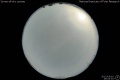 2012/5/10 20:03’10”
