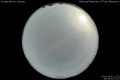 2012/5/10 20:19’10”
