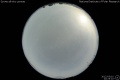 2012/5/10 20:25’10”
