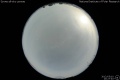 2012/5/10 20:27’40”