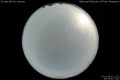 2012/5/10 20:29’40”