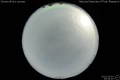 2012/5/10 20:44’10”