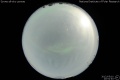 2012/5/10 20:51’40”
