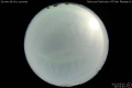 2012/5/10 20:52’40”