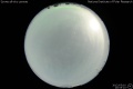2012/5/10 20:55’10”