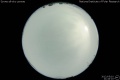 2012/5/10 21:44’10”