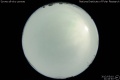 2012/5/10 21:44’40”
