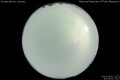 2012/5/10 21:45’10”