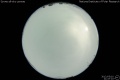 2012/5/10 21:47’10”
