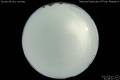 2012/5/10 21:48’10”