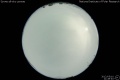 2012/5/10 21:49’40”