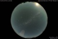 2012/5/11 19:42’10”