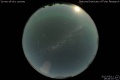2012/5/11 19:46’10”