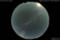 2012/5/11 19:49’40”