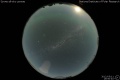 2012/5/11 19:50’40”