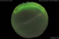 2012/5/12 20:19’10”