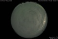 2012/5/15 02:39’10”