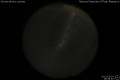 2012/5/24 16:48’40”