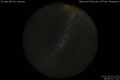 2012/5/24 16:50’10”