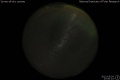 2012/5/24 17:00’10”