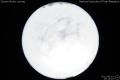 2012/6/1 20:15’10”